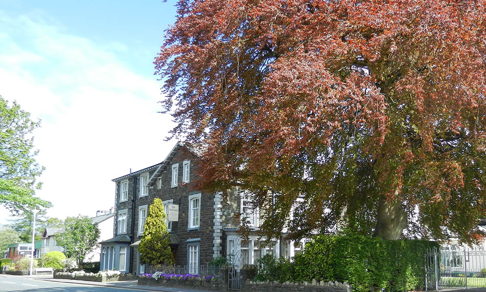 The Millfield Retirement Home